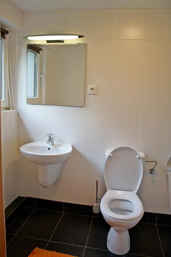 Willa Popielica Zakopane Holiday home